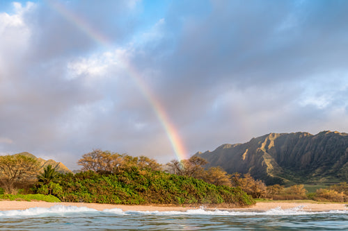 Rainbow Paradise